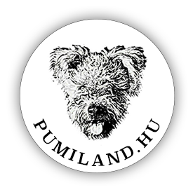 Pumiland logo